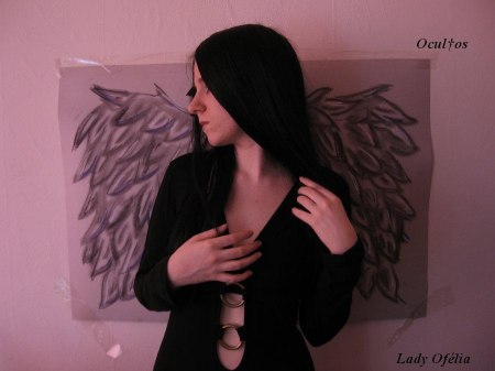 img297527_ocultos